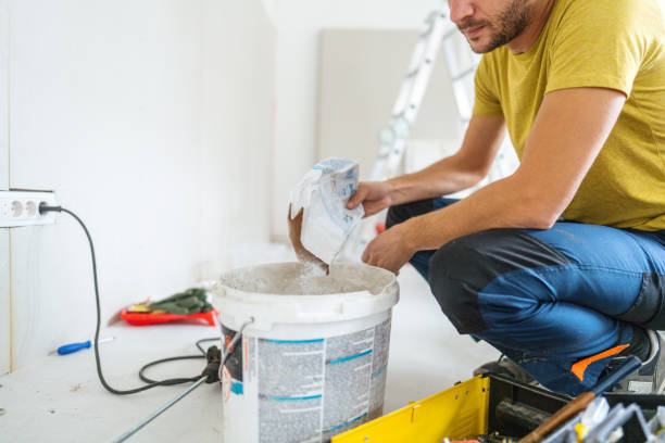 Best Mold Documentation for Insurance Claims  in Mount Pulaski, IL