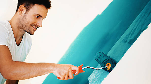 Best Emergency Mold Remediation  in Mount Pulaski, IL