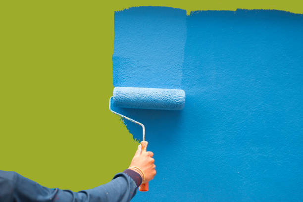 Reliable Mount Pulaski, IL Mold Removal Solutions